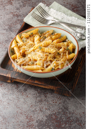 One Pot French Onion Pasta is rich and creamy, with sweet caramelized onions and penne closeup on the bowl. Vertical One Pot French Onion Pasta is rich and creamy, with sweet caramelized onions and penne closeup on the bowl. Vertical 112088571