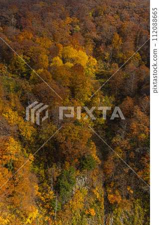 從日本青森縣青森市十和田八幡平國立公園的城倉大橋看到的城倉溪秋葉 從日本青森縣青森市十和田八幡平國立公園的城倉大橋看到的城倉溪秋葉 112088665
