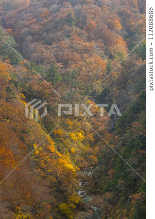 Autumn leaves of Jogakura Stream seen from Jogakura Ohashi Bridge in Towada-Hachimantai National Park in Aomori City, Aomori Prefecture, Japan 112088686
