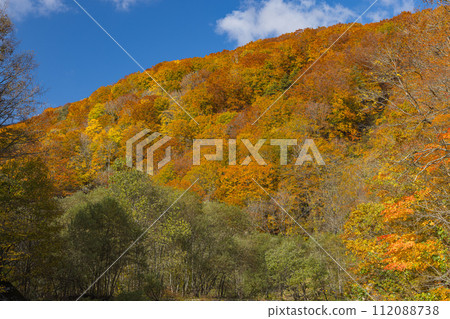 Scenery and autumn leaves along the Anmon Valley route in the Shirakami Mountains, a world heritage site in Nakatsugaru District, Aomori Prefecture, Japan 112088738