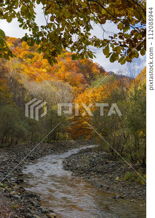 Anmon River and autumn leaves along the Anmon Valley route in the Shirakami Mountains, a world heritage site in Nakatsugaru District, Aomori Prefecture, Japan Anmon River and autumn leaves along the Anmon Valley route in the Shirakami Mountains, a world heritage site in Nakatsugaru District, Aomori Prefecture, Japan 112088944