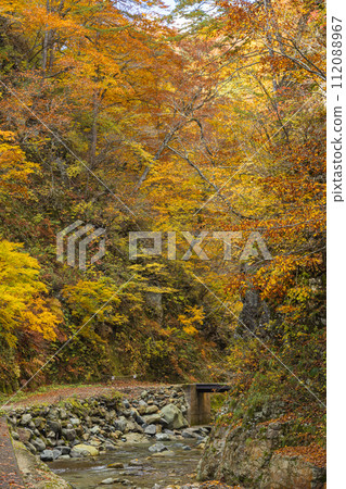 Anmon River and autumn leaves along the Anmon Valley route in the Shirakami Mountains, a world heritage site in Nakatsugaru District, Aomori Prefecture, Japan Anmon River and autumn leaves along the Anmon Valley route in the Shirakami Mountains, a world heritage site in Nakatsugaru District, Aomori Prefecture, Japan 112088967