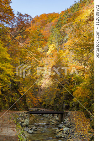 Anmon River and autumn leaves along the Anmon Valley route in the Shirakami Mountains, a world heritage site in Nakatsugaru District, Aomori Prefecture, Japan Anmon River and autumn leaves along the Anmon Valley route in the Shirakami Mountains, a world heritage site in Nakatsugaru District, Aomori Prefecture, Japan 112088972