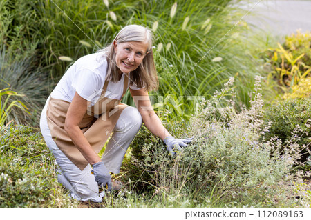 Cheerful mature woman with grey hair gardening outdoors, focusing on pruning shrubbery in a vibrant home garden. Cheerful mature woman with grey hair gardening outdoors, focusing on pruning shrubbery in a vibrant home garden. 112089163