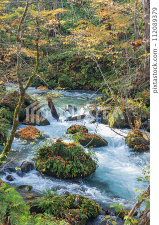 Japan, Towada City, Aomori Prefecture, autumn leaves of Oirase Stream that runs from Nenokuchi of Lake Towada to Yakeyama Japan, Towada City, Aomori Prefecture, autumn leaves of Oirase Stream that runs from Nenokuchi of Lake Towada to Yakeyama 112089379