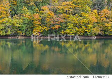 Autumn leaves reflected in the mirror surface of Kotoba Pond in Lake Juniko, a group of lakes located in the western part of the Shirakami Mountains in Fukaura Town, Nishitsugaru District, Aomori Prefecture, Japan Autumn leaves reflected in the mirror surface of Kotoba Pond in Lake Juniko, a group of lakes located in the western part of the Shirakami Mountains in Fukaura Town, Nishitsugaru District, Aomori Prefecture, Japan 112089387