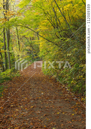 Japan: A walkway and autumn leaves along the pond of Kotoba, Juniko, a group of lakes located in the western part of the Shirakami Mountains in Fukaura-cho, Nishitsugaru-gun, Aomori Prefecture. 112089389