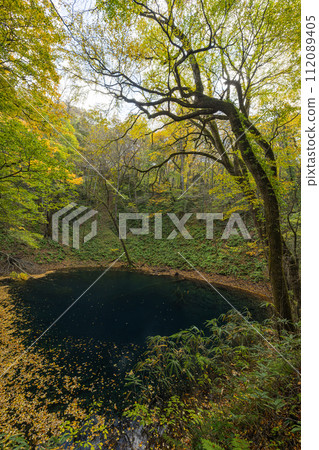 十二湖的藍色池塘和秋葉，是位於日本青森縣西津輕郡深浦町白神山脈西部的一組湖泊 112089405