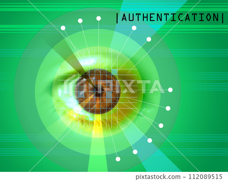 Retina scan Retina scan 112089515