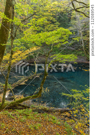 Fukutsubo Pond and autumn leaves in Lake Juniko, a group of lakes located in the western part of the Shirakami Mountains in Fukaura Town, Nishitsugaru District, Aomori Prefecture, Japan. Fukutsubo Pond and autumn leaves in Lake Juniko, a group of lakes located in the western part of the Shirakami Mountains in Fukaura Town, Nishitsugaru District, Aomori Prefecture, Japan. 112089545