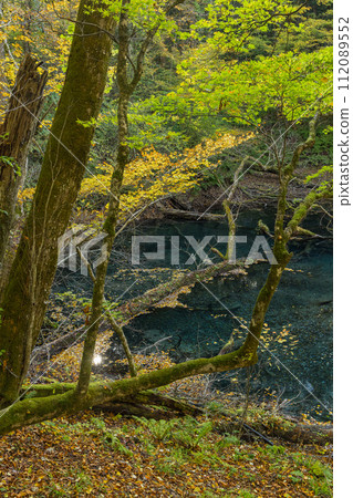 十二湖的福坪池和秋葉,十二湖是位於日本青森縣西津輕區深浦町白神山脈西部的一組湖泊。 十二湖的福坪池和秋葉,十二湖是位於日本青森縣西津輕區深浦町白神山脈西部的一組湖泊。 112089552