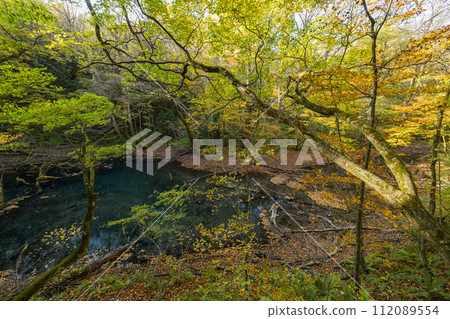 十二湖的福坪池和秋葉,十二湖是位於日本青森縣西津輕區深浦町白神山脈西部的一組湖泊。 十二湖的福坪池和秋葉,十二湖是位於日本青森縣西津輕區深浦町白神山脈西部的一組湖泊。 112089554