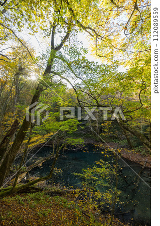 十二湖的福坪池和秋葉，十二湖是位於日本青森縣西津輕區深浦町白神山脈西部的一組湖泊。 112089559