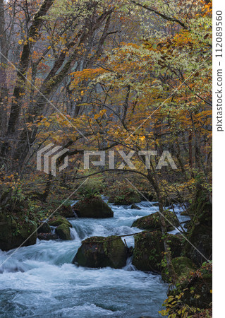 Towada City, Aomori Prefecture, Japan, the flowing flow and autumn leaves of Oirase Stream, which runs from Nenokuchi of Lake Towada to Yakeyama Towada City, Aomori Prefecture, Japan, the flowing flow and autumn leaves of Oirase Stream, which runs from Nenokuchi of Lake Towada to Yakeyama 112089560