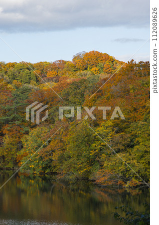 日本：十二湖禦池和秋葉，位於青森縣西津輕郡深浦町白神山脈西部的一組湖泊 112089626