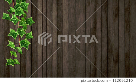 wooden board and ivy 112091210