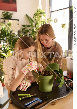 Female florist and her daughter spending time together taking care of houseplant in modern plant shop 112091235