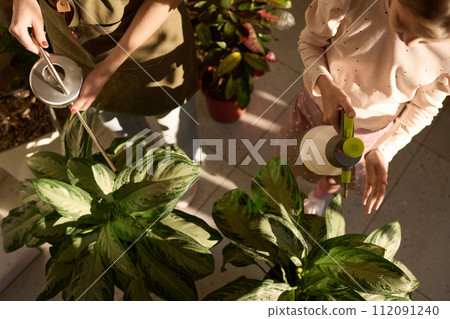 High angle view of unrecognizable woman and her daughter taking care of green houseplants, copy space 112091240