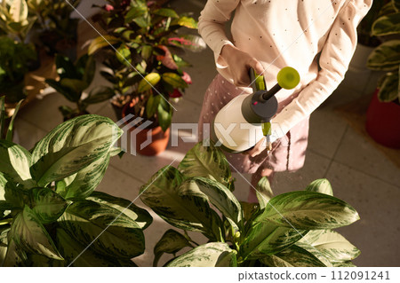 High angle view of unrecognizable girl spraying water onto beautiful green houseplants in pots, copy space High angle view of unrecognizable girl spraying water onto beautiful green houseplants in pots, copy space 112091241