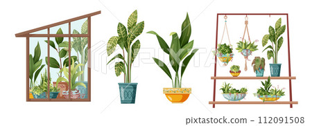 Houseplant and macrame plant growing in pots. Greenhouse, flower rack and macrame plants isolated on white background. Cartoon flat illustration. Houseplant and macrame plant growing in pots. Greenhouse, flower rack and macrame plants isolated on white background. Cartoon flat illustration. 112091508
