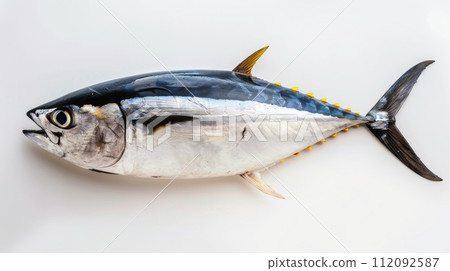 Whole Yellowfin Tuna Isolated on White Background Whole Yellowfin Tuna Isolated on White Background 112092587