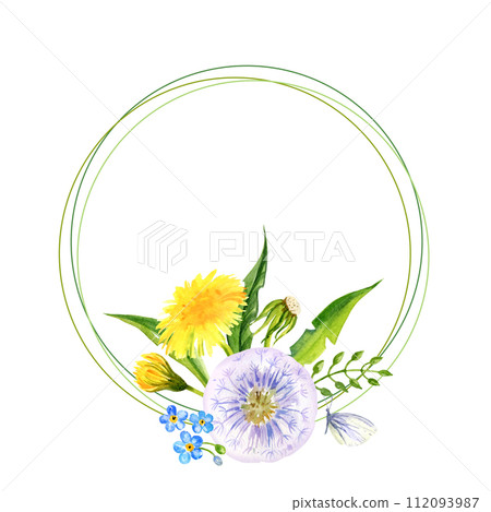 watercolor round frame with summer yellow flowers blow ball and ladybug, hand draw dandelions, forget me not flowers and leaves, herbs, sketch of spring yellow flowers on white background watercolor round frame with summer yellow flowers blow ball and ladybug, hand draw dandelions, forget me not flowers and leaves, herbs, sketch of spring yellow flowers on white background 112093987