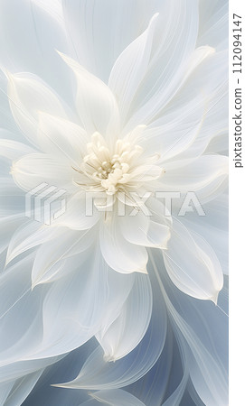 Details of blooming white dahlia fresh flower macro photography with copy space 112094147