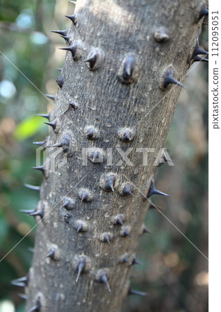 Karasuzansho Trunk Karasuzansho Trunk 112095051