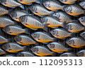 An abstract, densely packed pattern of fish with intricate scales on a contrasting black background. Generative Ai. 112095313