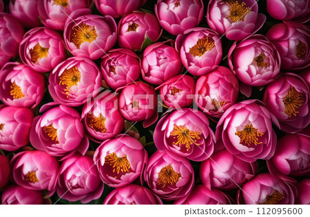 Peony wall. Pink peony background. Flower heads full frame. Blooming flowers border card design. Wedding backdrop, Valentine's Day concept. Bloom pattern, flowery wallpaper, floral postcard Peony wall. Pink peony background. Flower heads full frame. Blooming flowers border card design. Wedding backdrop, Valentine's Day concept. Bloom pattern, flowery wallpaper, floral postcard 112095600