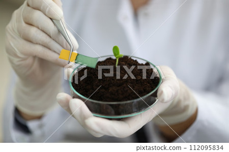 Researcher developing new life 112095834