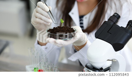 Sprout growing out from soil Sprout growing out from soil 112095843