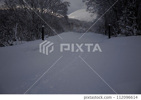 冬天的八甲田路(青森縣) 冬天的八甲田路(青森縣) 112096614