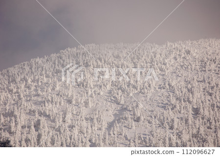 Hakkoda frost-covered trees in winter (Hakkoda, Aomori Prefecture) Hakkoda frost-covered trees in winter (Hakkoda, Aomori Prefecture) 112096627