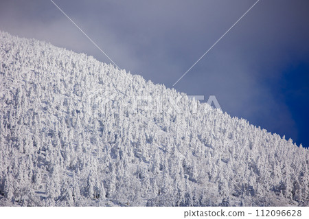 Hakkoda frost-covered trees in winter (Hakkoda, Aomori Prefecture) Hakkoda frost-covered trees in winter (Hakkoda, Aomori Prefecture) 112096628