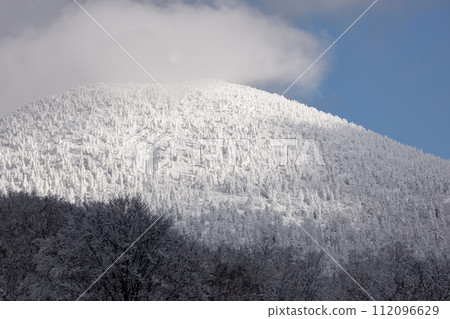 Hakkoda frost-covered trees in winter (Hakkoda, Aomori Prefecture) Hakkoda frost-covered trees in winter (Hakkoda, Aomori Prefecture) 112096629