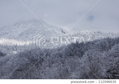 Hakkoda frost-covered trees in winter (Hakkoda, Aomori Prefecture) Hakkoda frost-covered trees in winter (Hakkoda, Aomori Prefecture) 112096630