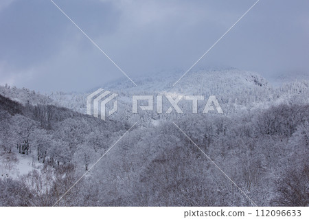Hakkoda in winter seen from the Sukayu Onsen parking lot (Aomori Prefecture) 112096633