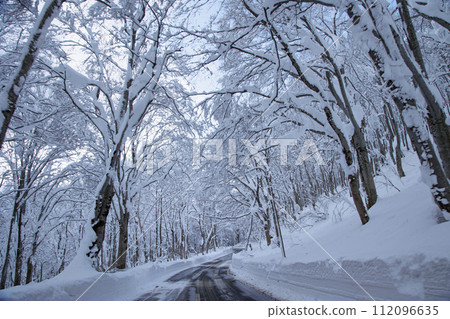 Road to Sukayu Onsen in winter (Aomori Prefecture) 112096635
