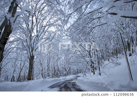 Road to Sukayu Onsen in winter (Aomori Prefecture) Road to Sukayu Onsen in winter (Aomori Prefecture) 112096636