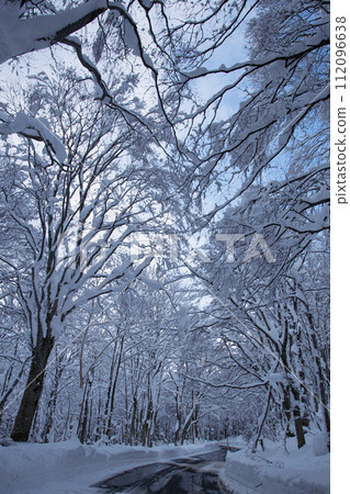 Road to Sukayu Onsen in winter (Aomori Prefecture) Road to Sukayu Onsen in winter (Aomori Prefecture) 112096638
