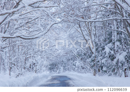 Road to Sukayu Onsen in winter (Aomori Prefecture) Road to Sukayu Onsen in winter (Aomori Prefecture) 112096639