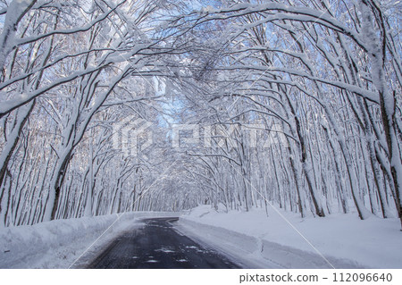 Road to Sukayu Onsen (snowy landscape) Road to Sukayu Onsen (snowy landscape) 112096640