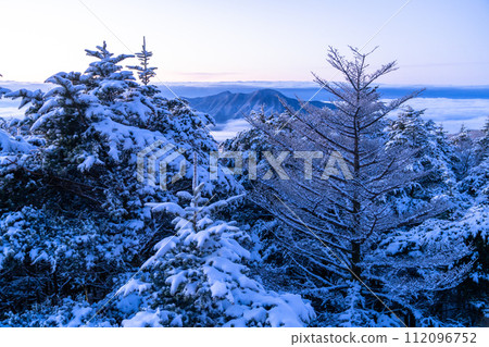 [Shizuoka Prefecture] Dawn in the frost-covered forest, Mizugatsuka Park Koshikiridzuka Observation Deck 112096752