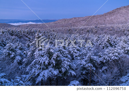 [靜岡縣] 霜凍森林的黎明，水塚公園越切裡塚展望台 112096758