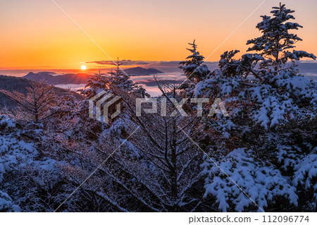 [靜岡縣] 霜凍森林的黎明，水塚公園越切裡塚展望台 112096774