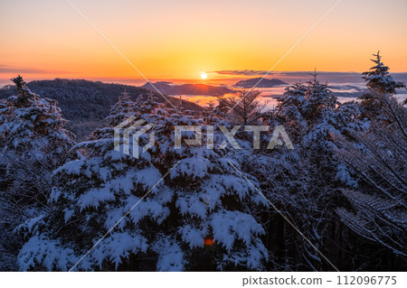 [靜岡縣] 霜凍森林的黎明，水塚公園越切裡塚展望台 112096775