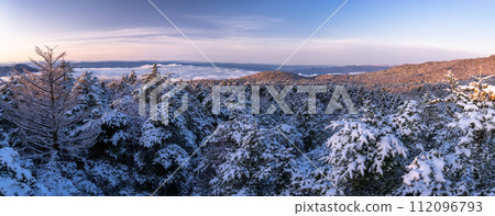 [靜岡縣] 霜凍森林的黎明，水塚公園越切裡塚展望台 112096793