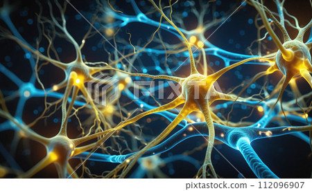 Close-up of a neuron or nerve cell integrated in the neuronal network and sending and transmitting impulses Close-up of a neuron or nerve cell integrated in the neuronal network and sending and transmitting impulses 112096907