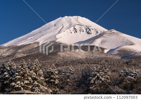 [Shizuoka Prefecture] Snowy Mt. Fuji at dawn and Mizugatsuka Park view 112097003
